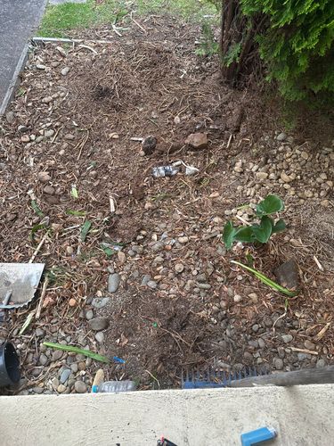 IMG_4326.jpeg IMG_4326.jpeg