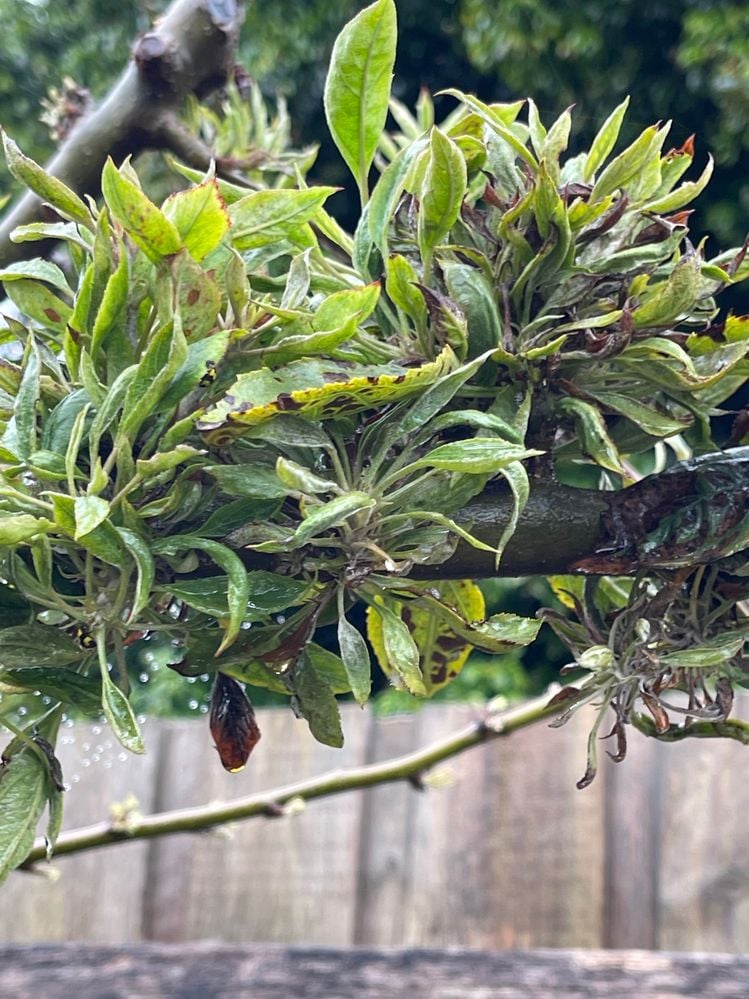 IMG_2062.jpg IMG_2062.jpg