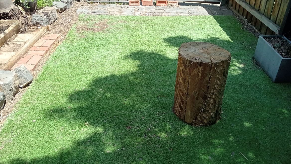 IMG20251211142325.jpg IMG20251211142325.jpg