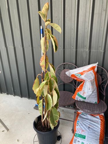 IMG_1205.jpeg IMG_1205.jpeg