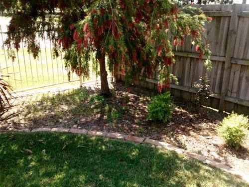 IMG_20191029_142452867.jpg IMG_20191029_142452867.jpg