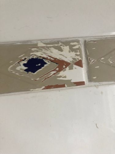 529E069A-2F24-49C1-AAE8-746ADFE85816.jpeg 529E069A-2F24-49C1-AAE8-746ADFE85816.jpeg