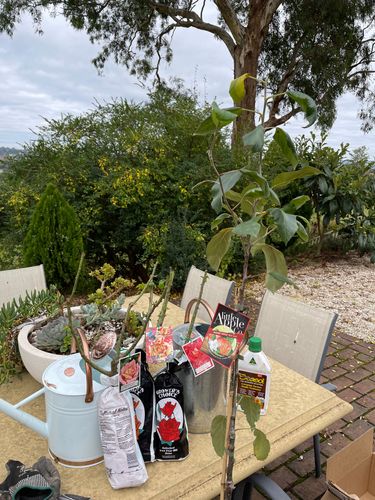 F5214213-02A9-4601-82C5-01A6A9D18BE9.jpeg F5214213-02A9-4601-82C5-01A6A9D18BE9.jpeg