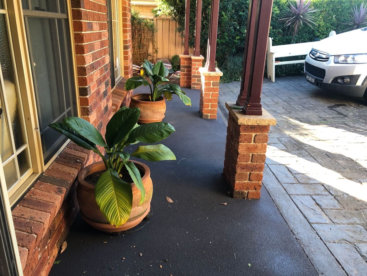 IMG_5711 (1).JPG IMG_5711 (1).JPG