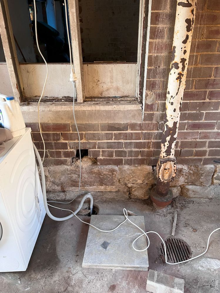 IMG_4311.jpg IMG_4311.jpg