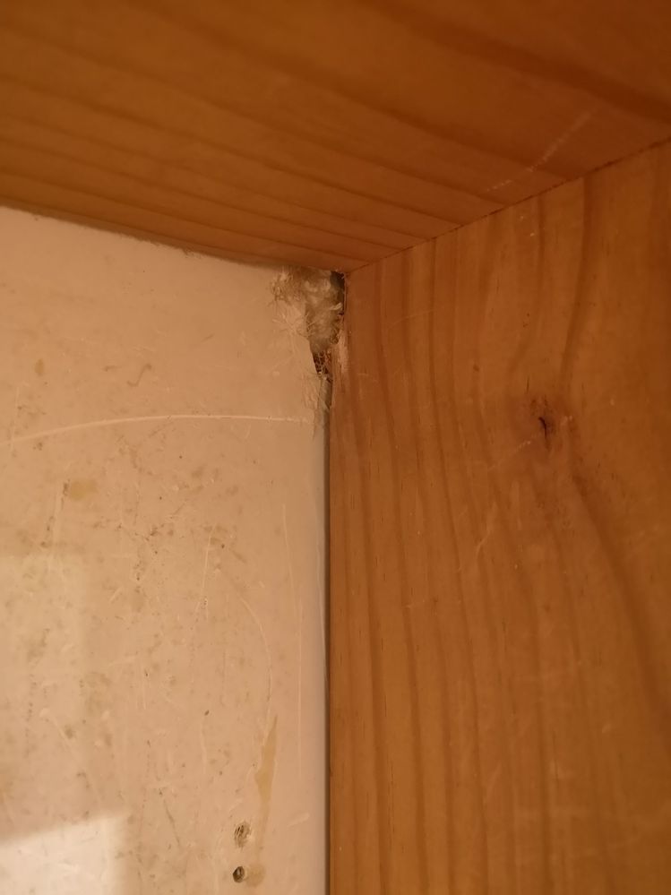 IMG_20191030_214543.jpg IMG_20191030_214543.jpg