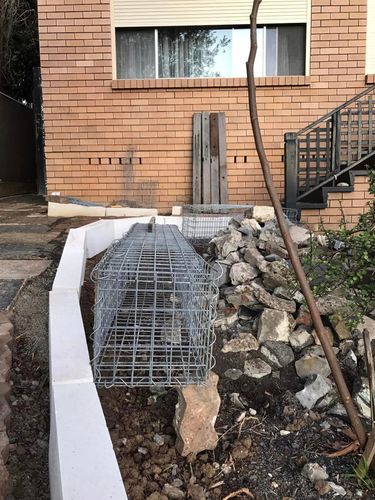 10 13-08-2022.jpg 10 13-08-2022.jpg