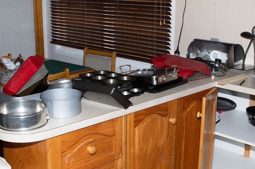 20190325-_5008015-TraysOnBench.jpg 20190325-_5008015-TraysOnBench.jpg