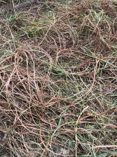 IMG_6222.jpg IMG_6222.jpg