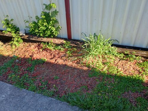 IMG_20250522_084256061_HDR.jpg IMG_20250522_084256061_HDR.jpg