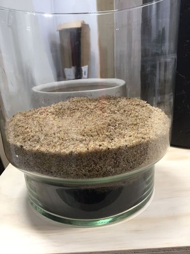 F9374173-F921-47D1-9BC5-6E059EFF1B29.jpeg F9374173-F921-47D1-9BC5-6E059EFF1B29.jpeg