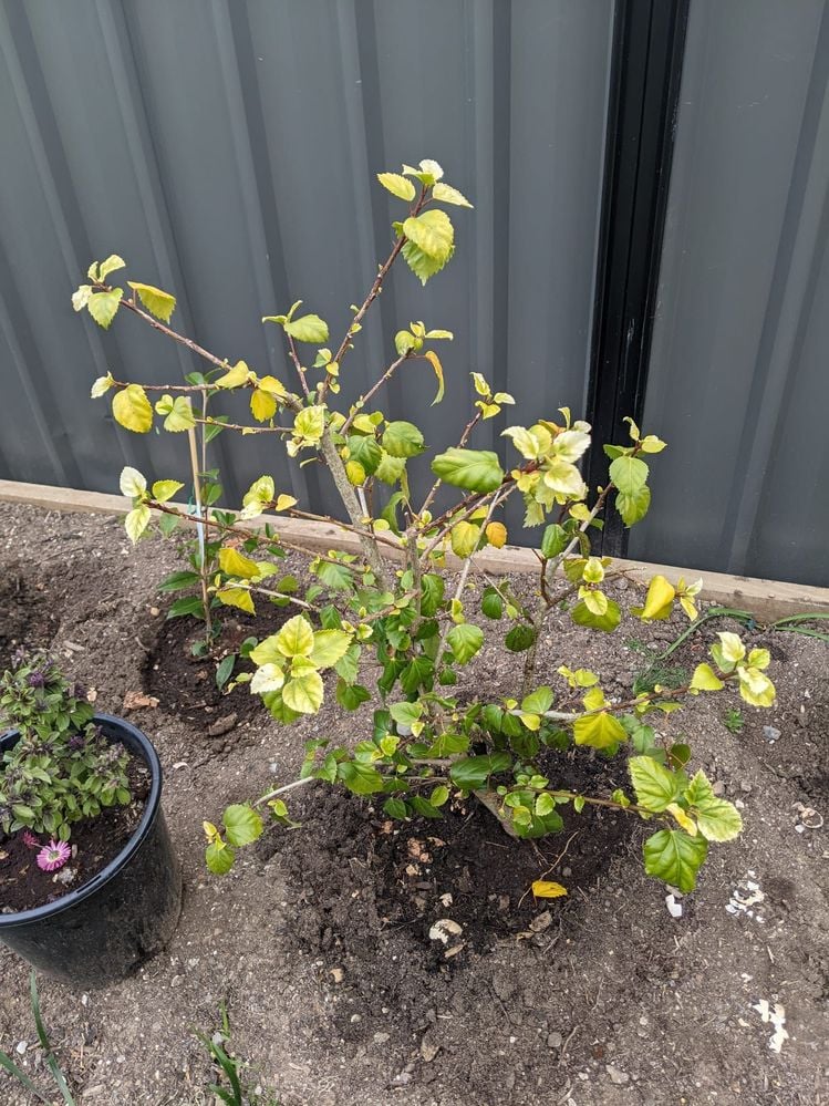 PHOTO-2023-09-11-12-36-34.jpg PHOTO-2023-09-11-12-36-34.jpg