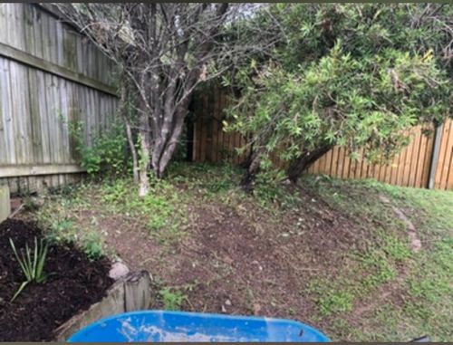 D319176F-F88D-4F63-9BFA-7A02F3CDF4BD.jpeg D319176F-F88D-4F63-9BFA-7A02F3CDF4BD.jpeg