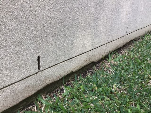 IMG_5946.jpg IMG_5946.jpg