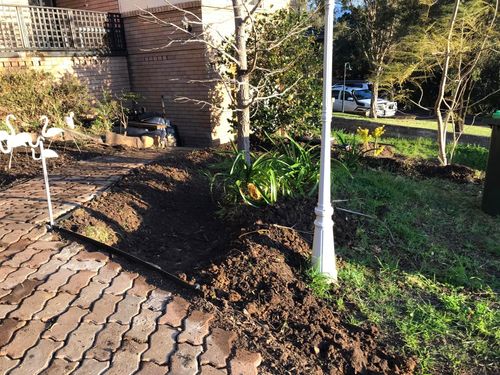 95 10-09-2022.jpg 95 10-09-2022.jpg