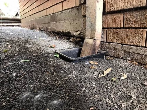 27 28-05-2022.jpg 27 28-05-2022.jpg