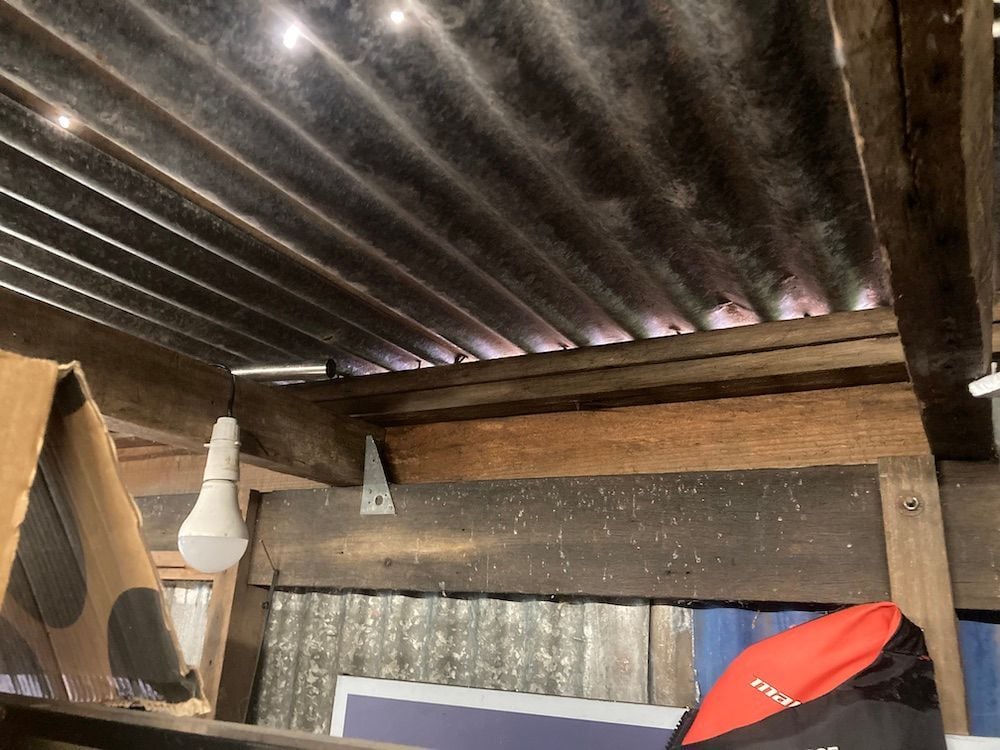 IMG_0647.JPG IMG_0647.JPG