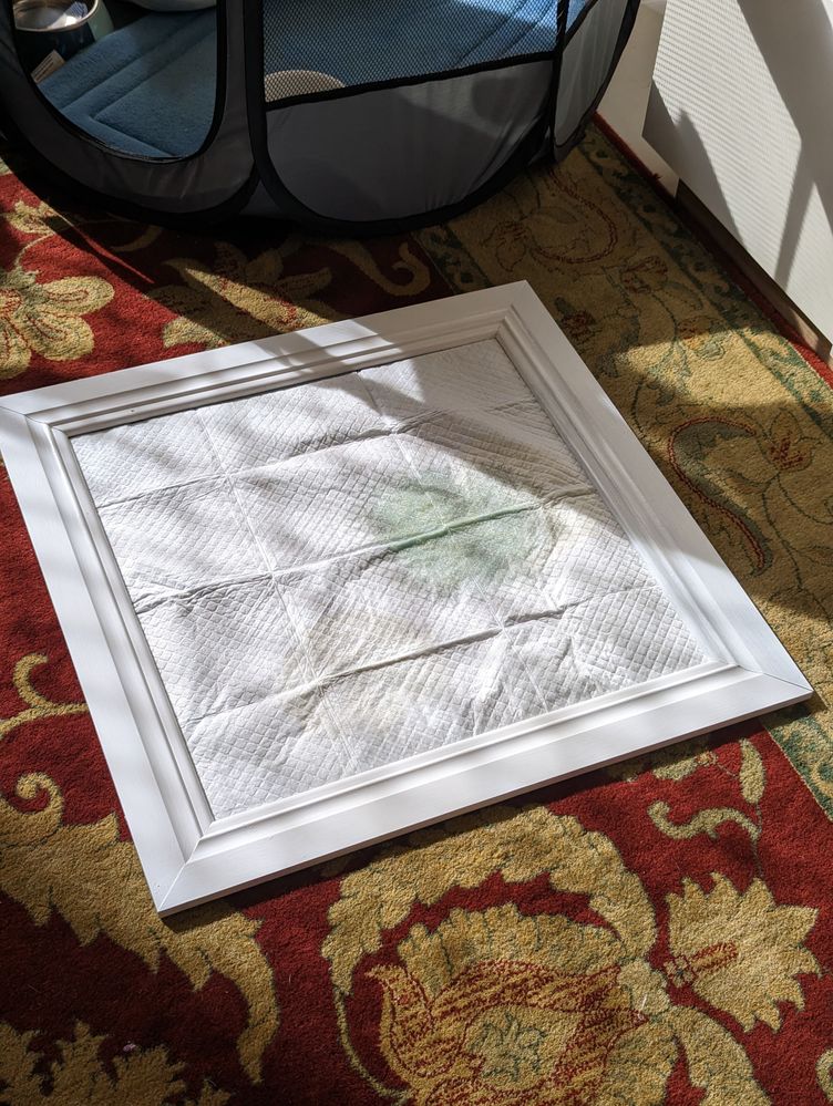 Pee Pad frame.jpg Pee Pad frame.jpg