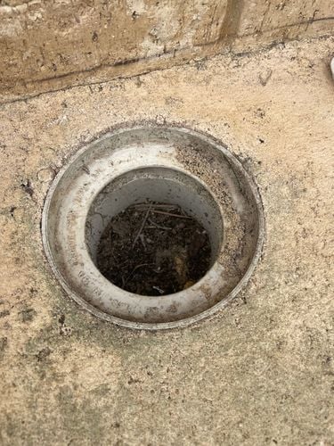 IMG_5553.jpeg IMG_5553.jpeg