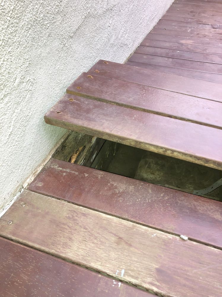 IMG_3098.jpg IMG_3098.jpg