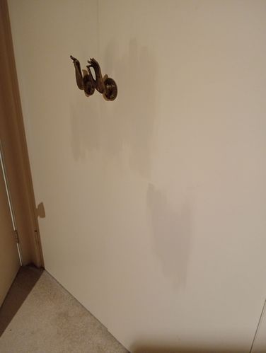 1000007441.jpg 1000007441.jpg