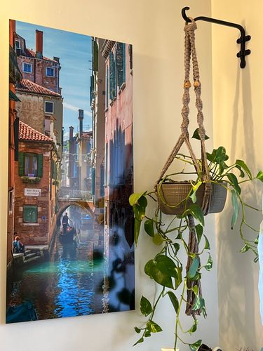 After2 Print and plant.jpg After2 Print and plant.jpg