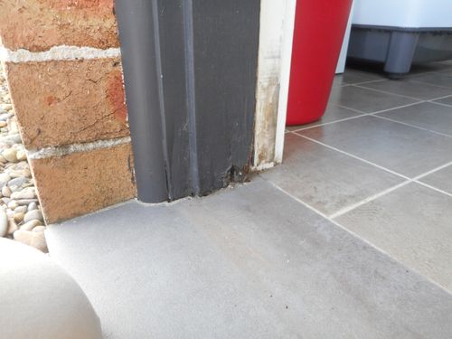 DSCN2986.JPG DSCN2986.JPG