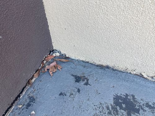 IMG_7254.jpeg IMG_7254.jpeg