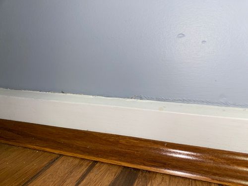 IMG_2672.jpeg IMG_2672.jpeg