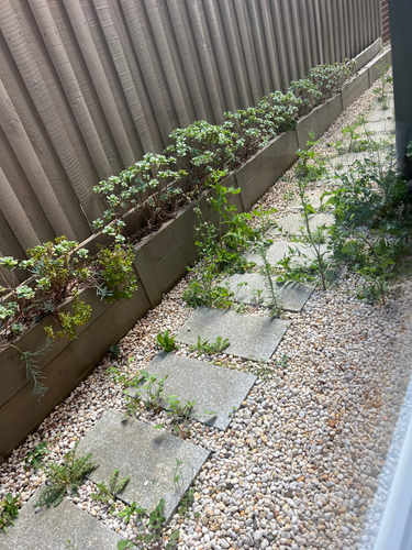 IMG_5701.png IMG_5701.png