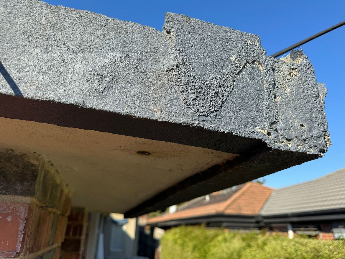 AFE0F229-B04B-47AF-90F9-B22D51148FCE.jpeg AFE0F229-B04B-47AF-90F9-B22D51148FCE.jpeg