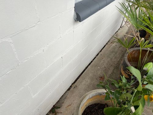 IMG_7405 Large.jpeg IMG_7405 Large.jpeg