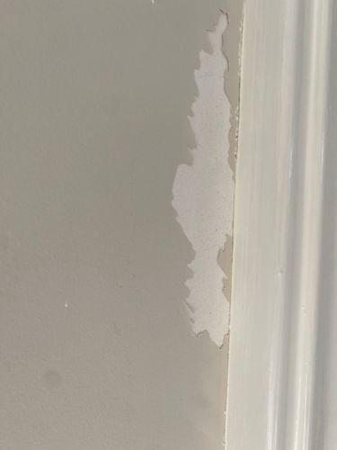 IMG_0696.jpeg IMG_0696.jpeg