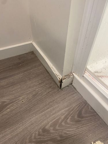 IMG_7931.jpeg IMG_7931.jpeg