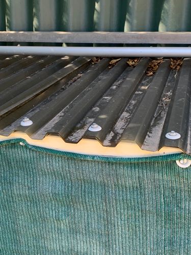 IMG_2779.jpeg IMG_2779.jpeg