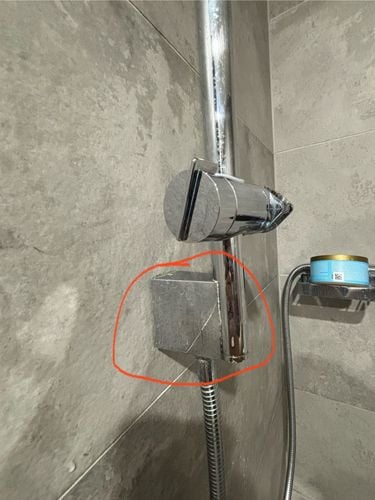 IMG_4246.jpeg IMG_4246.jpeg