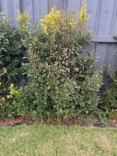 1EE43D45-3ED5-4B44-9C29-88864131FF6B.jpeg 1EE43D45-3ED5-4B44-9C29-88864131FF6B.jpeg