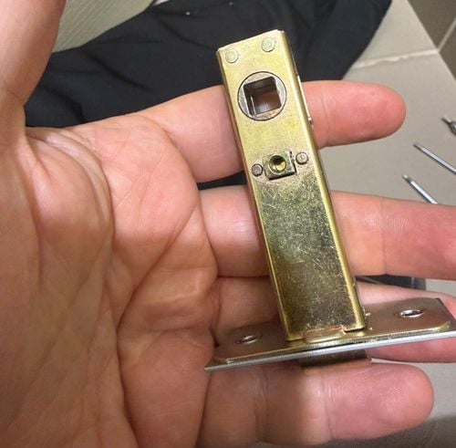 IMG_3511.jpeg IMG_3511.jpeg