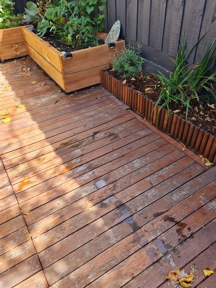 RobP_11-1721305664699.jpeg RobP_11-1721305664699.jpeg