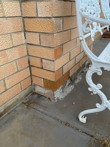 IMG_3838.jpeg IMG_3838.jpeg