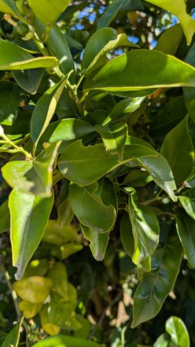 1000044091.jpg 1000044091.jpg