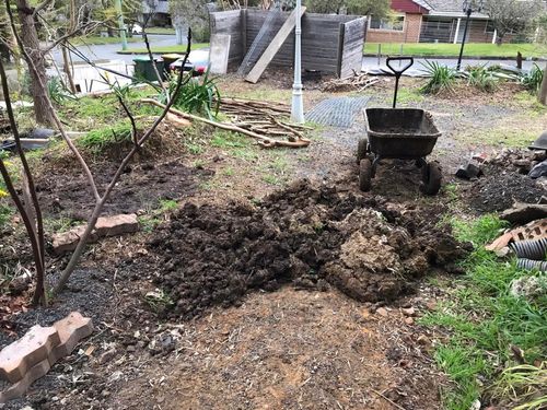 43 16-07-2022.jpg 43 16-07-2022.jpg