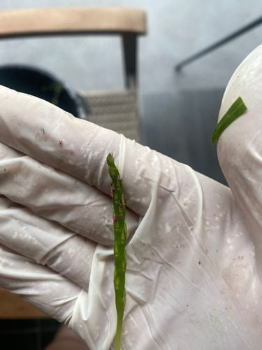 IMG_5075.jpeg IMG_5075.jpeg