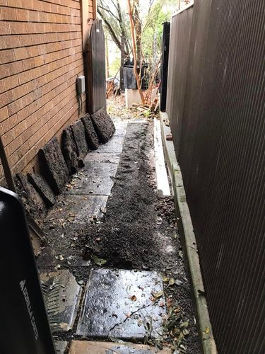 60 03-07-2022.jpg 60 03-07-2022.jpg