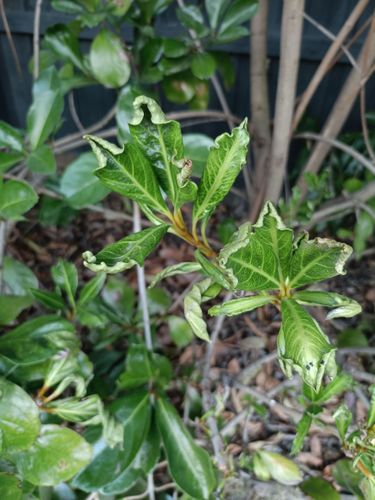 1000024874.jpg 1000024874.jpg