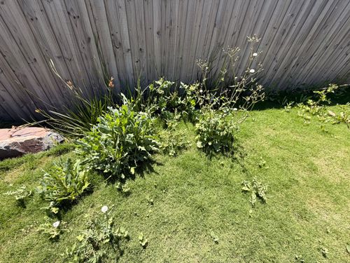 IMG_9393.jpeg IMG_9393.jpeg