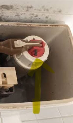 IMG_9945.jpeg IMG_9945.jpeg