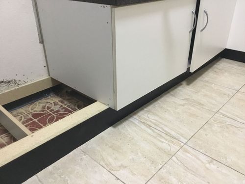 F7ED0671-B4FD-4933-9DD0-ACEB70A4C602.jpeg F7ED0671-B4FD-4933-9DD0-ACEB70A4C602.jpeg