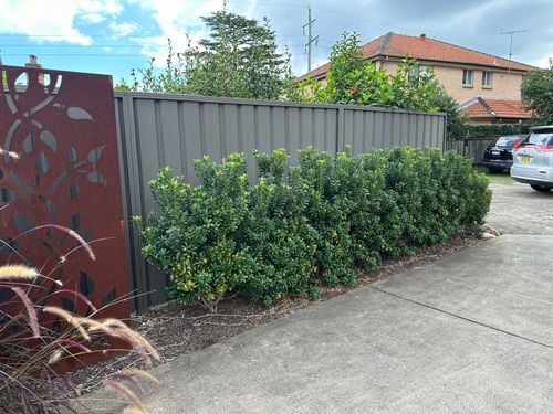 IMG_8632.jpeg IMG_8632.jpeg