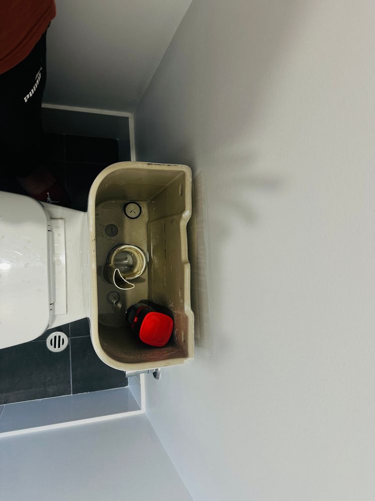 IMG_8491.jpeg IMG_8491.jpeg